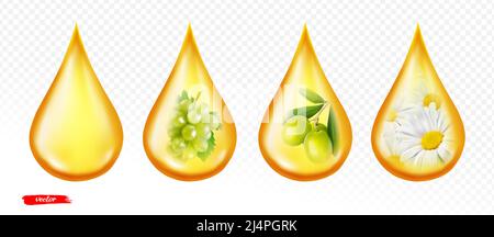 Goutte d'huile isolée sur fond transparent. Illustration vectorielle réaliste de la chute d'huile de camomille. Huile de raisin et d'olive Illustration de Vecteur