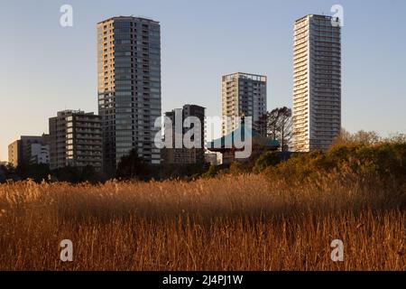 Temple Bentendo dans le parc Ueno avec des immeubles d'appartements derrière, Ueno, Tokyo, Japon. Banque D'Images