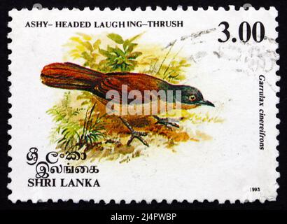 SRI LANKA - VERS 1993: Un timbre imprimé au Sri Lanka montre Laughingthrush à tête d'ashy, Garrulax Cinereifrons, Bird, vers 1993 Banque D'Images