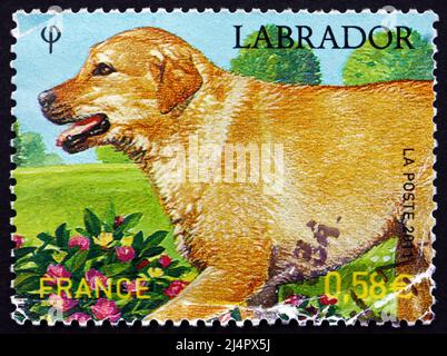FRANCE - VERS 2011 : un timbre imprimé en France montre Labrador Retriever, chien, vers 2011 Banque D'Images