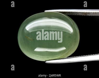 Béryl vert de pierre précieuse naturelle en brucelles sur fond gris Banque D'Images