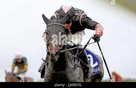 L'amour de brandy, criblé par Paul Townend sur le chemin de gagner la finale irlandaise du championnat de haies de Stallion Farms EBF Mares Novice au champ de courses de Fairyhouse dans le comté de Meath, en Irlande. Date de la photo: Dimanche 17 avril 2022. Banque D'Images