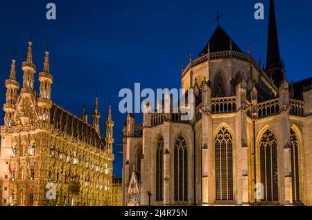 Scène urbaine nocturne, vue sur le centre historique de Louvain, Belgique Banque D'Images