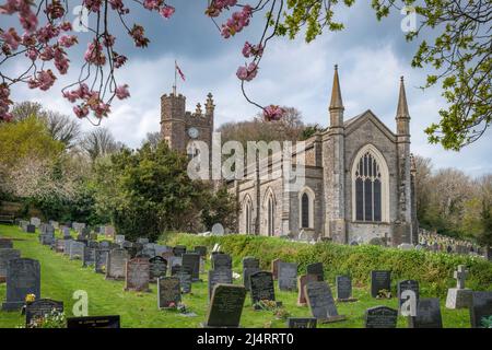 Lors d'un dimanche de Pâques chargé dans le village côtier d'Appledore, le cimetière de St Mary's est un endroit tranquille à visiter entouré de fleurs printanières Banque D'Images