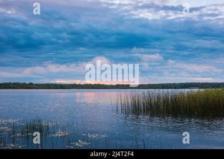 La nature de la Biélorussie, une matinée d'été sereine, une aube lumineuse sur le lac Selyava Banque D'Images