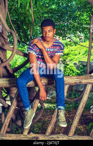 Homme afro-américain se détendant dans le parc de New York. Portant une chemise à motif coloré, un Jean bleu, des baskets, un collier, un jeune homme beau est assis o Banque D'Images