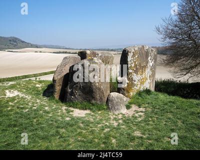 La grande-Barrow de Coldrum, ou pierres de Coldrum ou pierres d'Adscombe, est une longue-barrow néolithique avec chambre funéraire, près de Trottiscliff dans le Kent, en Angleterre Banque D'Images