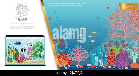 Aquarium plat composition lumineuse avec poissons exotiques colorés pierres d'algues et l'illustration vectorielle des coraux Illustration de Vecteur
