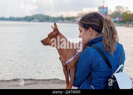 Une adolescente tenant un pincher miniature dans ses bras près du lac.concept de relation entre l'homme et l'animal. Banque D'Images