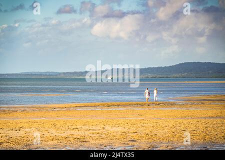 Un couple marche le long de la plage à Kingfisher Bay. Fraser Island, Queensland, Australie Banque D'Images