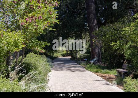 Arboretum UC Davis Banque D'Images