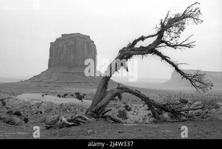 Paysage noir et blanc, Monuent Valley, Utah Banque D'Images