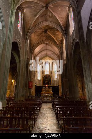 Collégiale Saint-Agricol d'Avignon. Commencé par Saint Agricol en 7th siècle. Style gothique. Avignon. Vaucluse Dep. Provence-Alpes-Côte d'Azur. France Banque D'Images