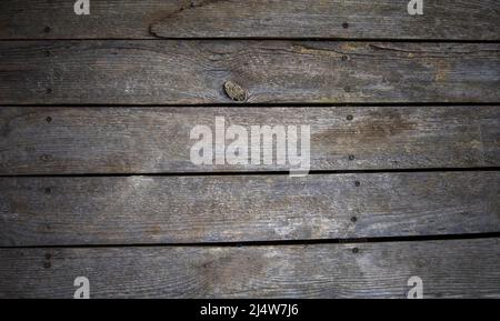 Panneaux en bois gris avec vis. Banque D'Images