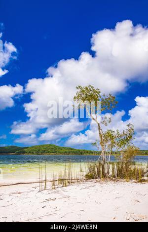 Le lac Birabeen offre aux touristes de l'eau cristalline et du sable blanc doux sur Fraser Island, Queensland, Australie Banque D'Images