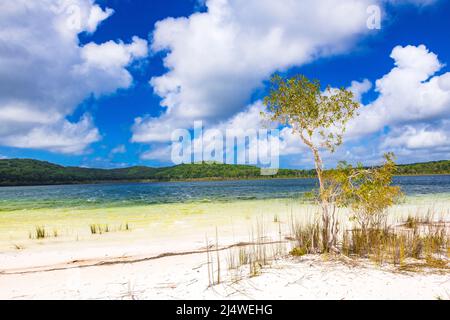 Le lac Birabeen offre aux touristes de l'eau cristalline et du sable blanc doux sur Fraser Island, Queensland, Australie Banque D'Images