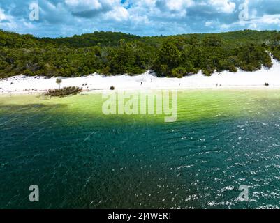 Le lac Birabeen offre aux touristes de l'eau cristalline et du sable blanc doux sur Fraser Island, Queensland, Australie Banque D'Images