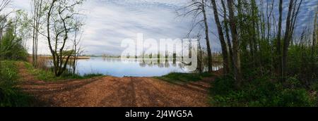 Vue panoramique de Watch Lane Flash, lac de pêche, à Moston Elworth près de Sandbach Cheshire Royaume-Uni Banque D'Images