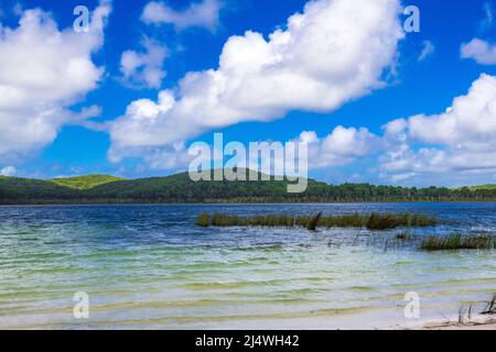 Le lac Birabeen offre aux touristes de l'eau cristalline et du sable blanc doux sur Fraser Island, Queensland, Australie Banque D'Images