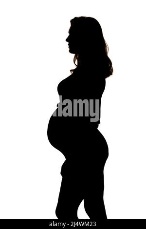 Silhouette d'une femme enceinte posant en studio sur un fond blanc. Banque D'Images