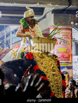 Fête religieuse avec un éléphant à Trichy, Tamil Nadu, Inde Banque D'Images