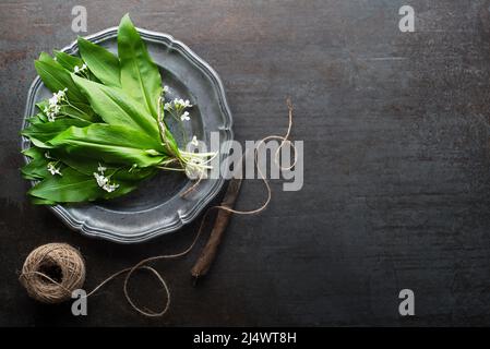 Bouquet de feuilles d'ail sauvage fraîches sur table grise Banque D'Images