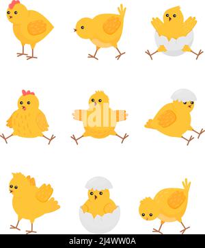 Mignons poussins jaunes. Oiseau de poussin de dessin animé, poulet isolé de bébé. Petit animal de ferme dans l'œuf de la rupture, symbole pâques. Caractères vectoriels plats et rustiques Illustration de Vecteur