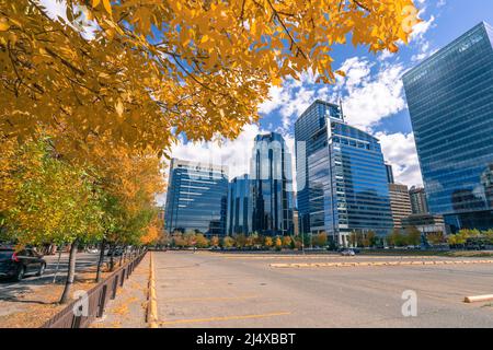 Calgary, Canada - 09.09.2018 : vue d'horizon de la ville sous l'arbre avec des feuilles jaunes. Le ciel bleu se reflète dans les murs en verre des gratte-ciel de la ville. Ensoleillé Banque D'Images