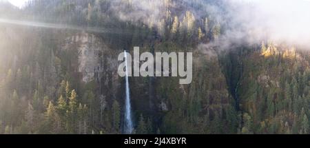 Une cascade pittoresque plonge à plus de 500 mètres d'une falaise dans la gorge du fleuve Columbia, Oregon. Les forêts et les rivières prédominent dans cette région de la PNW. Banque D'Images