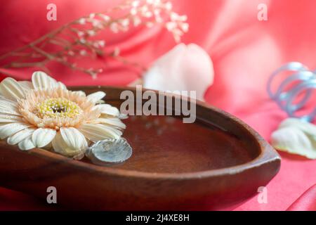 Gerbera couleur crème dans un bol en bois avec de l'eau sur fond de satin rouge. Concept spa Banque D'Images