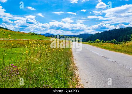 Vue sur les montagnes du Rhodope occidental près du village de Zmeitsa dans le sud-ouest de la Bulgarie. Il est situé dans la municipalité de Dospat, province de Smolyan.2020 Banque D'Images