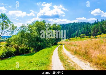 Vue sur les montagnes du Rhodope occidental près du village de Zmeitsa dans le sud-ouest de la Bulgarie. Il est situé dans la municipalité de Dospat, province de Smolyan.2020 Banque D'Images