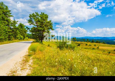 Vue sur les montagnes du Rhodope occidental près du village de Zmeitsa dans le sud-ouest de la Bulgarie. Il est situé dans la municipalité de Dospat, province de Smolyan.2020 Banque D'Images