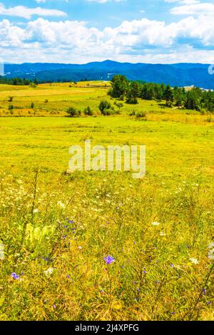 Vue sur les montagnes du Rhodope occidental près du village de Zmeitsa dans le sud-ouest de la Bulgarie. Il est situé dans la municipalité de Dospat, province de Smolyan.2020 Banque D'Images