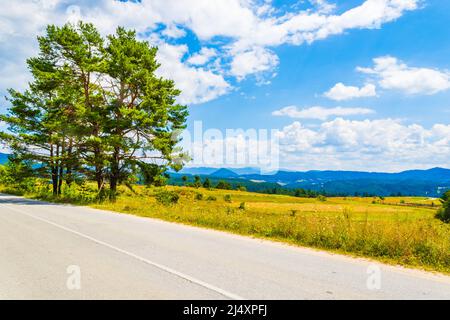 Vue sur les montagnes du Rhodope occidental près du village de Zmeitsa dans le sud-ouest de la Bulgarie. Il est situé dans la municipalité de Dospat, province de Smolyan.2020 Banque D'Images