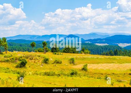 Vue sur les montagnes du Rhodope occidental près du village de Zmeitsa dans le sud-ouest de la Bulgarie. Il est situé dans la municipalité de Dospat, province de Smolyan.2020 Banque D'Images