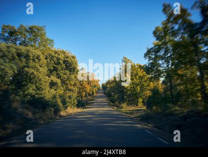 Route étroite en ligne droite entourée d'arbres aux couleurs automnales. Banque D'Images