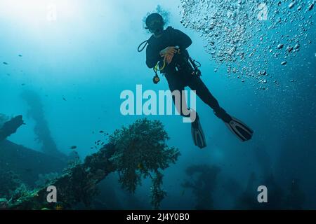Plongeur explorant l'épave de l'USS Liberty de la côte de Bali Banque D'Images