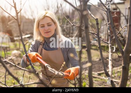 Élagage des arbres dans le jardin d'automne. Gros plan des mains dans des gants jaunes et des sécateurs taillant les vieilles branches. Banque D'Images