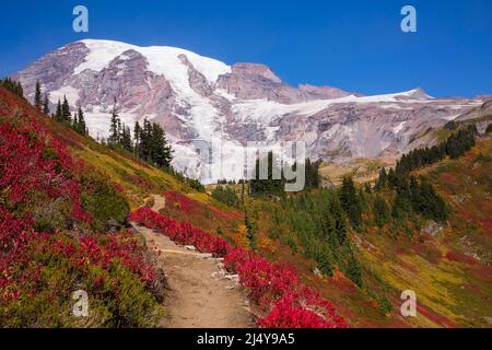 L'un des nombreux sentiers de randonnée entouré d'un magnifique feuillage d'automne à Mt. Parc national de Rainier dans l'État de Washington Banque D'Images