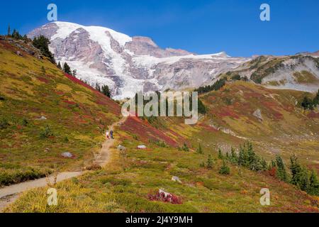 Un randonneur marche sur un sentier entouré d'un magnifique feuillage d'automne à Mt. Parc national de Rainier dans l'État de Washington Banque D'Images