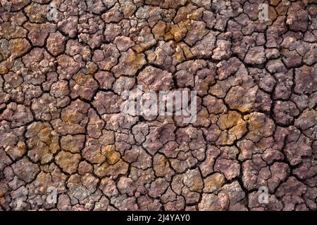 Fissures dans la boue des Yellow Mounds dans le parc national des Badlands, Dakota du Sud. Banque D'Images