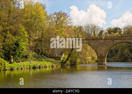 Le pont de Prebends, avec les ponts de Framwellgate et d'Elvet, est l'un des trois ponts voûté en pierre du centre de Durham, en Angleterre, qui traversent la rivière Banque D'Images