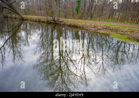 Nuages et arbres se reflètent dans les eaux du Delaware et du canal Raritan à Colonial Park, New Jersey, au début du printemps -07 Banque D'Images