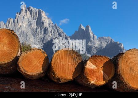 Gros plan sur le bois empilé en piles avec une gamme emblématique de montagnes italiennes en arrière-plan Banque D'Images