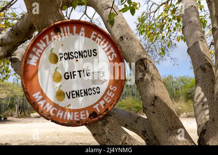 Panneau d'avertissement Manchineel Trees à Playa Jeremi sur l'île des Caraïbes Curaçao Banque D'Images