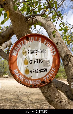 Panneau d'avertissement Manchineel Trees à Playa Jeremi sur l'île des Caraïbes Curaçao Banque D'Images