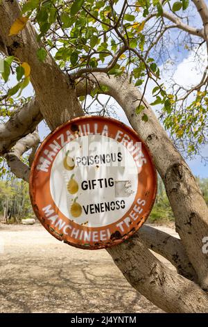 Panneau d'avertissement Manchineel Trees à Playa Jeremi sur l'île des Caraïbes Curaçao Banque D'Images