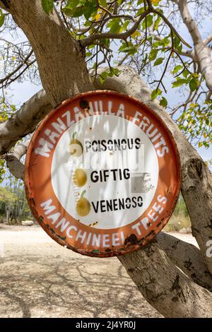 Panneau d'avertissement Manchineel Trees à Playa Jeremi sur l'île des Caraïbes Curaçao Banque D'Images