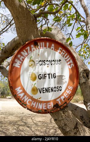 Panneau d'avertissement Manchineel Trees à Playa Jeremi sur l'île des Caraïbes Curaçao Banque D'Images